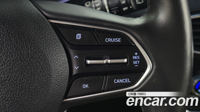 Hyundai Santa Fe (TM) Diesel 2.0 2WD Premium 2019 — фото 14
