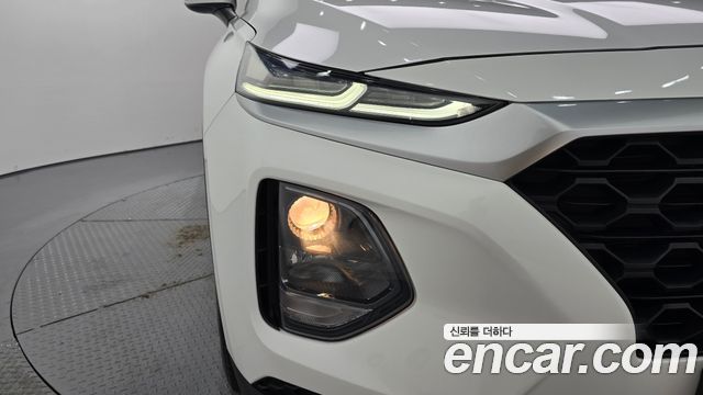 Hyundai Santa Fe (TM) Diesel 2.0 2WD Premium 2019 — фото 22