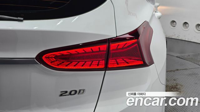 Hyundai Santa Fe (TM) Diesel 2.0 2WD Premium 2019 — фото 23