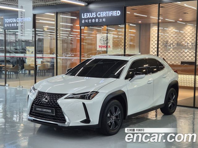 Lexus UX300h 2.0 2WD