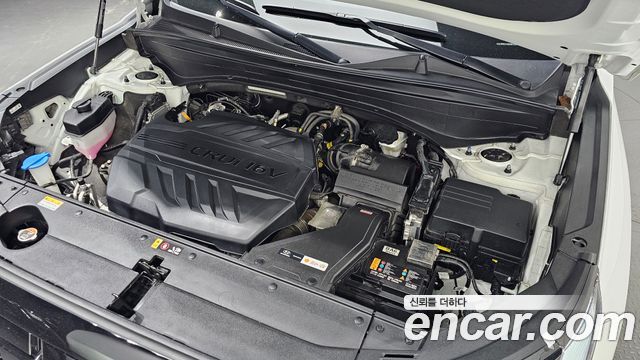 Hyundai Palisade Diesel 2.2 2WD Le Blanc 2024 — фото 6