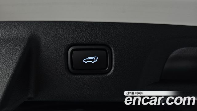 Hyundai Palisade Diesel 2.2 2WD Le Blanc 2024 — фото 18