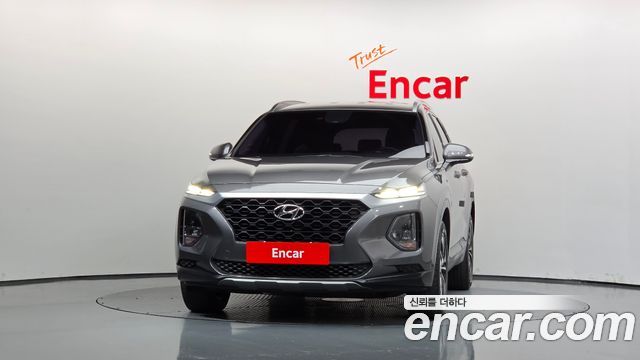 Hyundai Santa Fe (TM) Diesel 2.0 2WD Premium 2019 — фото 3