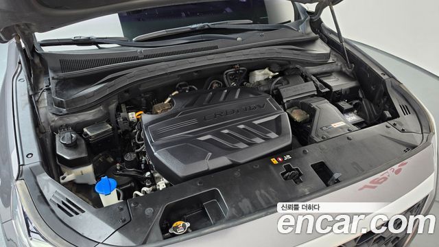 Hyundai Santa Fe (TM) Diesel 2.0 2WD Premium 2019 — фото 6