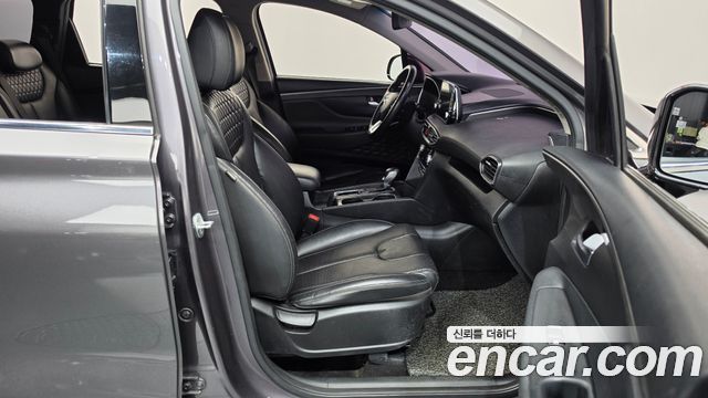 Hyundai Santa Fe (TM) Diesel 2.0 2WD Premium 2019 — фото 11