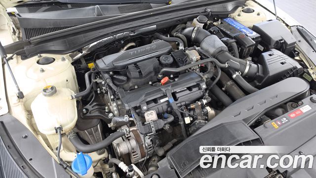 Kia K5 (III) 1.6 Turbo Trendy 2020 — фото 6