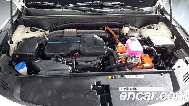 Kia Sorento (IV) HEV 1.6 2WD Gravity 2022 — фото 6
