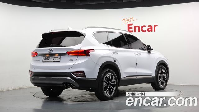 Hyundai Santa Fe (TM) Diesel 2.0 2WD Exclusive Special 2019 — фото 2
