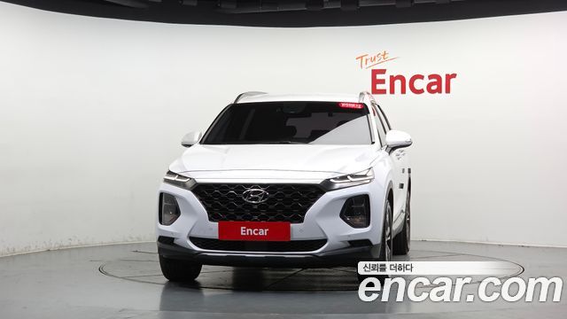 Hyundai Santa Fe (TM) Diesel 2.0 2WD Exclusive Special 2019 — фото 3
