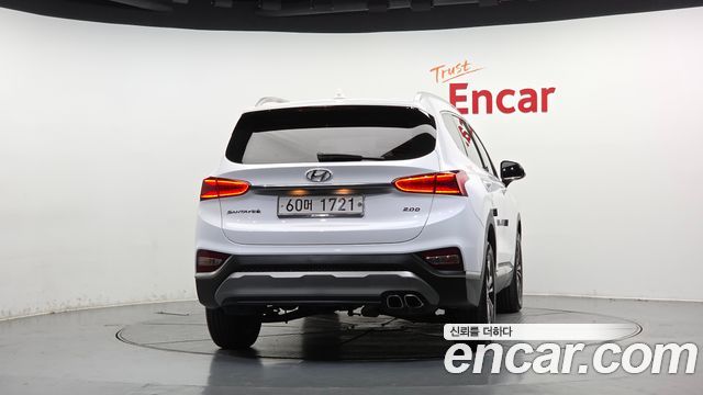 Hyundai Santa Fe (TM) Diesel 2.0 2WD Exclusive Special 2019 — фото 4