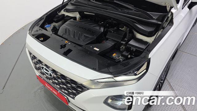 Hyundai Santa Fe (TM) Diesel 2.0 2WD Exclusive Special 2019 — фото 6