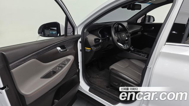Hyundai Santa Fe (TM) Diesel 2.0 2WD Exclusive Special 2019 — фото 10