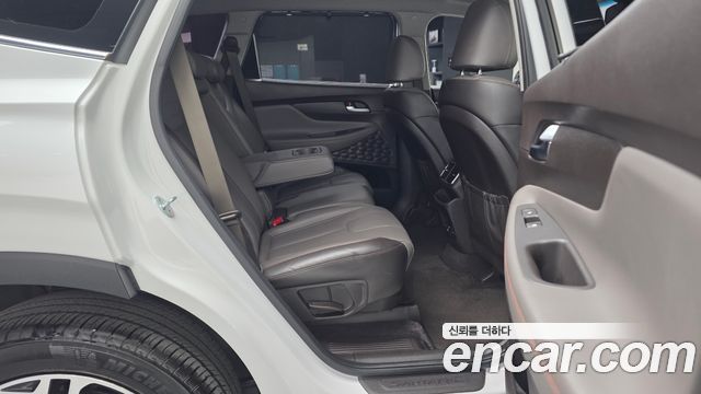Hyundai Santa Fe (TM) Diesel 2.0 2WD Exclusive Special 2019 — фото 11