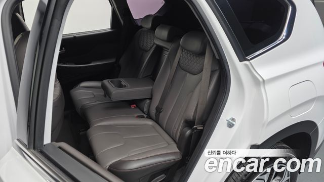 Hyundai Santa Fe (TM) Diesel 2.0 2WD Exclusive Special 2019 — фото 12