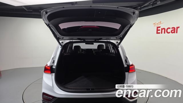Hyundai Santa Fe (TM) Diesel 2.0 2WD Exclusive Special 2019 — фото 17