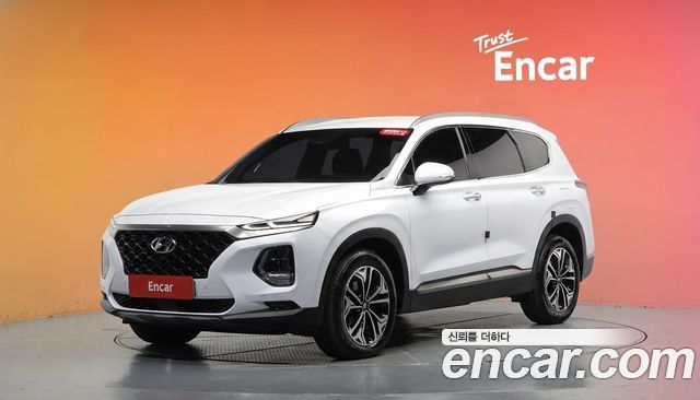 Hyundai Santa Fe (TM) Diesel 2.0 2WD Exclusive Special 2019 — фото 1