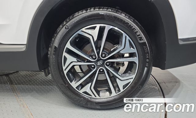 Hyundai Santa Fe (TM) Diesel 2.0 2WD Exclusive Special 2019 — фото 21