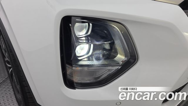 Hyundai Santa Fe (TM) Diesel 2.0 2WD Exclusive Special 2019 — фото 22