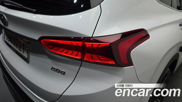Hyundai Santa Fe (TM) Diesel 2.0 2WD Exclusive Special 2019 — фото 23