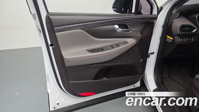 Hyundai Santa Fe (TM) Diesel 2.0 2WD Exclusive Special 2019 — фото 24