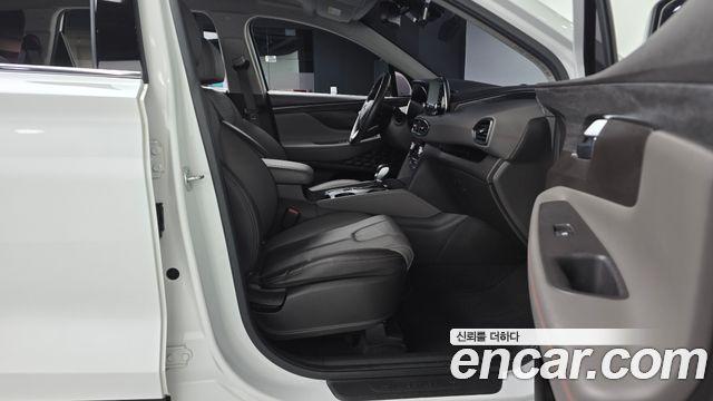 Hyundai Santa Fe (TM) Diesel 2.0 2WD Exclusive Special 2019 — фото 26