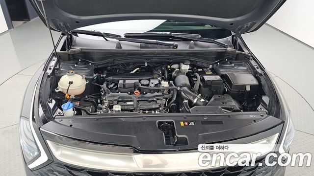 Kia Sportage (V) Gasoline 1.6 Turbo 2WD Nobleless 2024 — фото 6