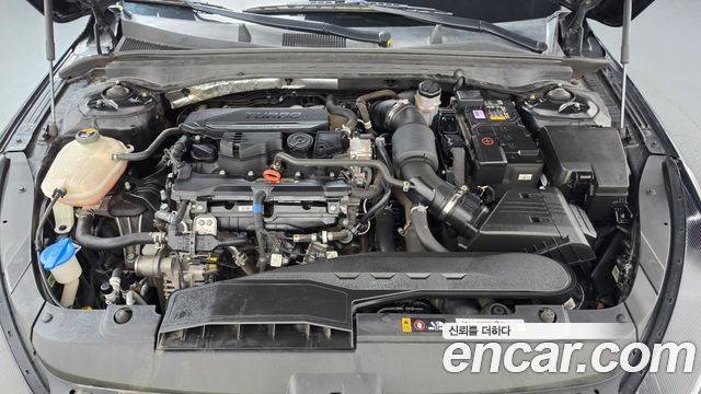 Kia K5 (III) 1.6 Turbo Signature 2022 — фото 6