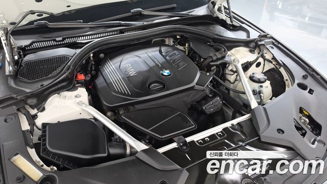 BMW 5 Series (G30) 520d Luxury Special Edition 2018 — фото 6