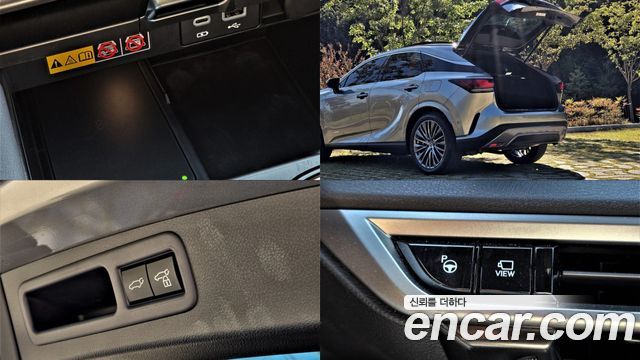 Lexus RX350h (V) Luxury 2024 — фото 24