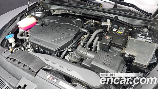 Kia K5 (III) 2.0 LPI(Renter car) Strandard 2023 — фото 6