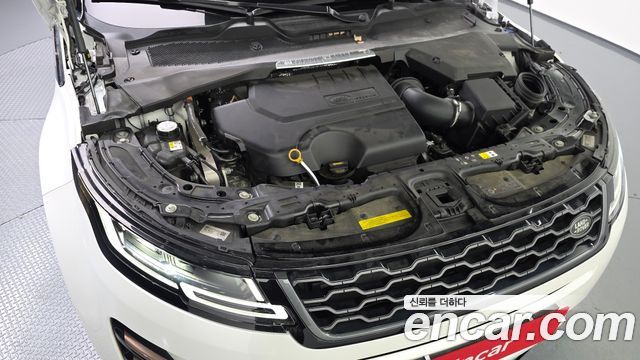 Land Rover Range Rover Evoque (II) P250 R-Dynamic SE 2023 — фото 6