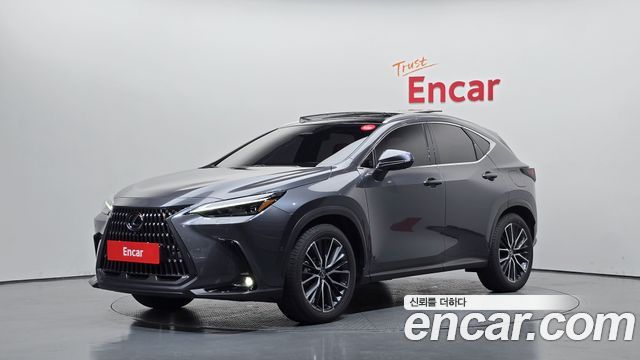 Lexus NX350h (II) Luxury