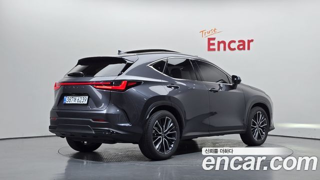 Lexus NX350h (II) Luxury 2025 — фото 2