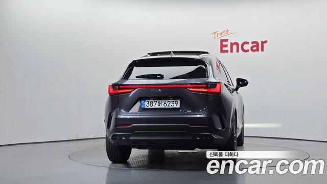 Lexus NX350h (II) Luxury 2025 — фото 4