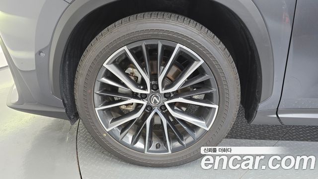 Lexus NX350h (II) Luxury 2025 — фото 5