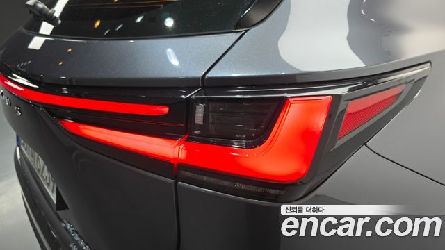Lexus NX350h (II) Luxury 2025 — фото 23