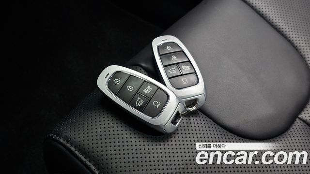 Hyundai Santa Fe Diesel 2.2 2WD Exclusive 2022 — фото 35
