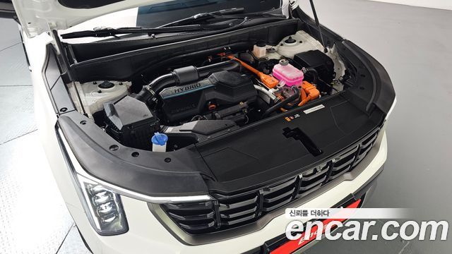 Kia Sorento (IV) HEV 1.6 2WD Gravity 2025 — фото 6