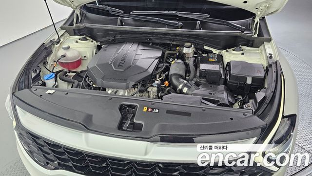 Kia Sportage (V) Diesel 2.0 4WD Trendy 2023 — фото 6
