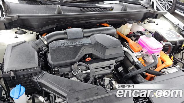 Kia Sportage Hybrid (V) HEV 1.6 2WD Prestige 2025 — фото 6