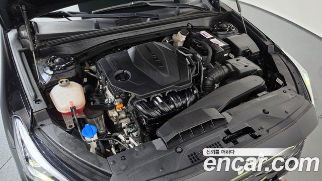 Kia K8 2.5 Gasoline 2WD Noblesse 2023 — фото 6