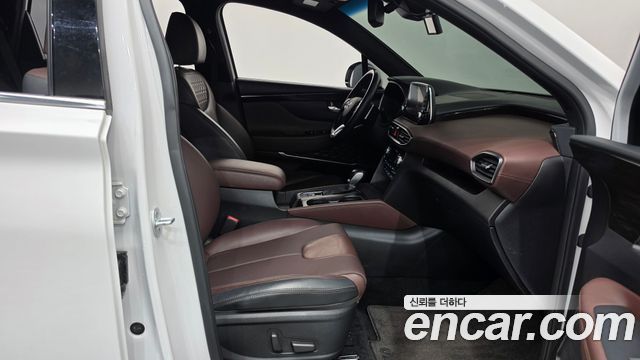 Hyundai Santa Fe (TM) Diesel 2.2 4WD Inspiration 2019 — фото 11