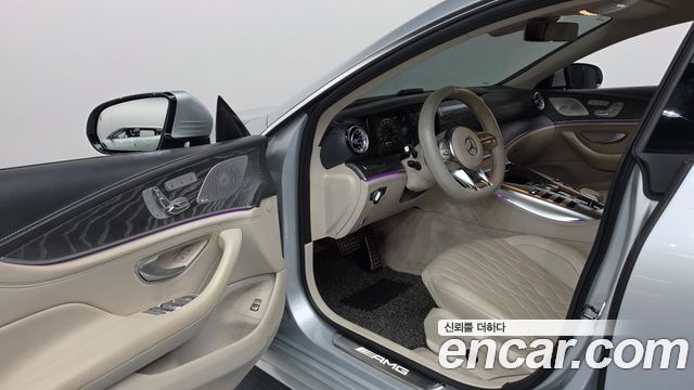 Mercedes-Benz AMG GT 4Door 43 4MATIC+ 2019 — фото 10
