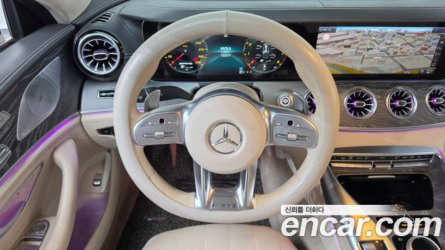 Mercedes-Benz AMG GT 4Door 43 4MATIC+ 2019 — фото 13