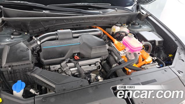 Hyundai Tucson Hybrid (NX4) Premium 2WD 2022 — фото 6