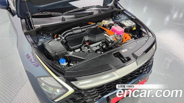 Kia Sportage Hybrid (V) Nobleless 2WD 2024 — фото 6