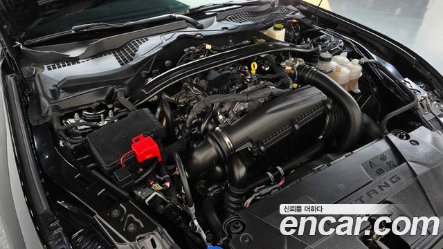 Ford Mustang (VII) 2.3 EcoBoost Premium Coupe 2024 — фото 6