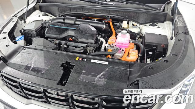 Kia Sorento (IV) HEV 1.6 2WD Gravity 2024 — фото 6