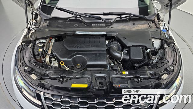 Land Rover Range Rover Evoque (II) P250 S 2021 — фото 6