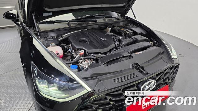 Hyundai Sonata (DN8) 2.0 Premium Plus 2022 — фото 6